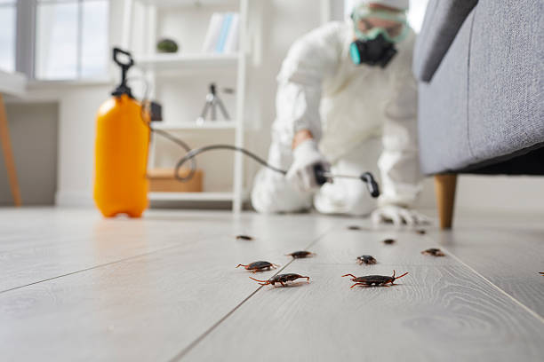 Commercial Kitchen Cockroach Control in Desloge